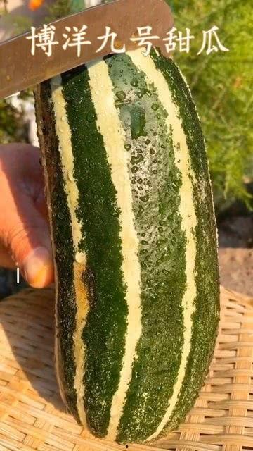 这个瓜可以直接吃吗,“这个瓜可以直接吃吗？”揭秘食品安全新话题