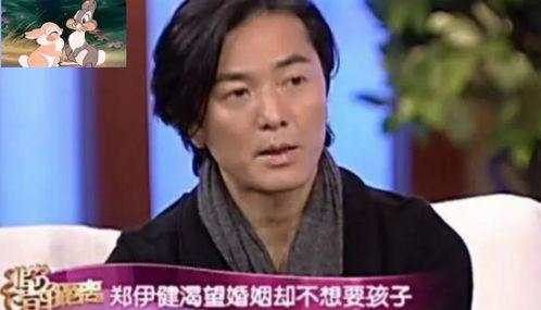 哪个明星有丁克症,幸福背后的选择与坚持