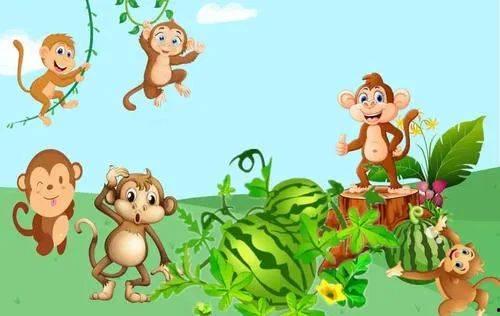 猴子吃小瓜图片大全,萌态百出！