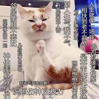 佛系的微头条图片,从一张微头条图片看世界宁静之美