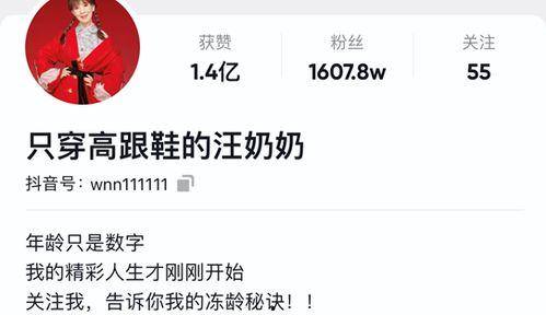 网红账号怎么授权抖音,轻松开启内容创作新篇章