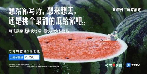 去瓜地吃瓜文案,一场去瓜地的甜蜜之旅