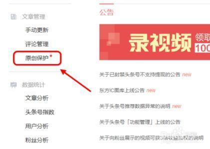 玉林头条号作者,带你走进玉林文化新篇章